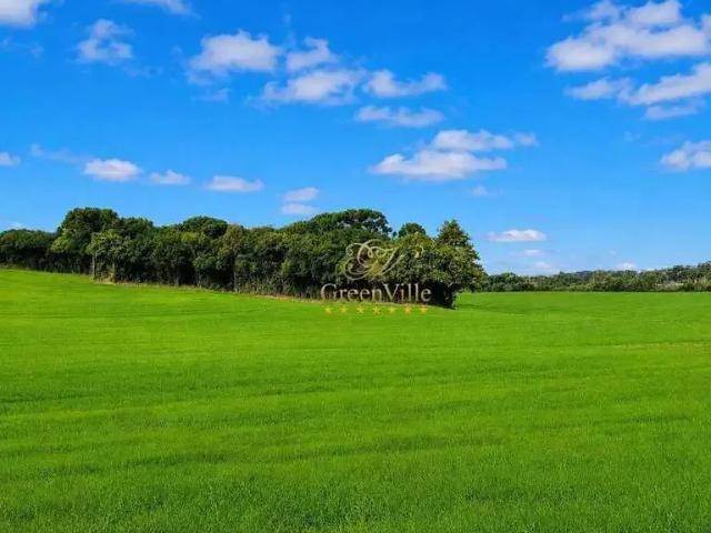Sítio e chácara venda em Região Geográfica Imediata de Curitiba, Região Metropolitana de Curitiba