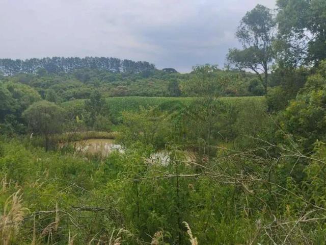 Sítio e chácara venda em Região Geográfica Imediata de Curitiba, Região Metropolitana de Curitiba