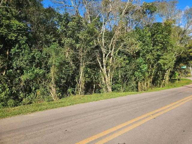 Sítio e chácara venda em Região Geográfica Imediata de Curitiba, Região Metropolitana de Curitiba