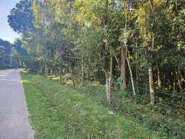Sítio e chácara venda em Região Geográfica Imediata de Curitiba, Região Metropolitana de Curitiba