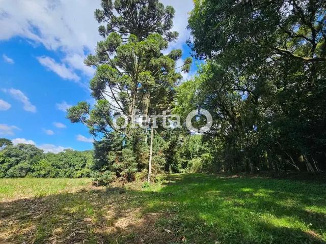 Sítio e chácara venda em Região Geográfica Imediata de Curitiba, Região Metropolitana de Curitiba