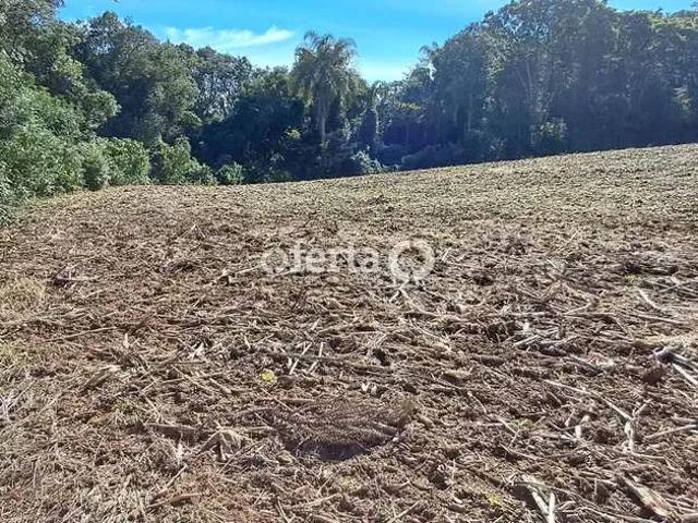 Sítio e chácara venda em Região Geográfica Imediata de Curitiba, Região Metropolitana de Curitiba