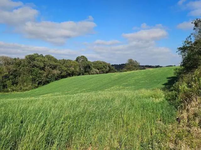 Sítio e chácara venda em Região Geográfica Imediata de Curitiba, Região Metropolitana de Curitiba