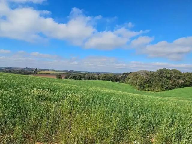 Sítio e chácara venda em Região Geográfica Imediata de Curitiba, Região Metropolitana de Curitiba