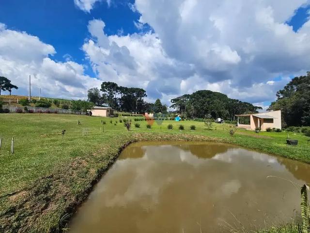 Sítio e chácara venda em Região Geográfica Imediata de Curitiba, Região Metropolitana de Curitiba