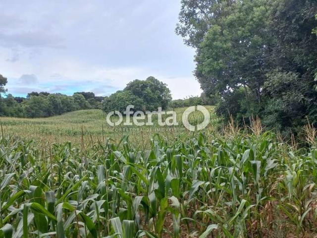 Sítio e chácara venda em Região Geográfica Imediata de Curitiba, Região Metropolitana de Curitiba