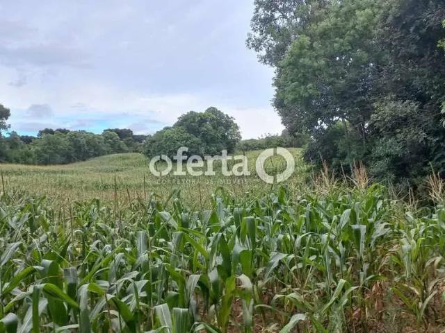 Sítio e chácara venda em Região Geográfica Imediata de Curitiba, Região Metropolitana de Curitiba