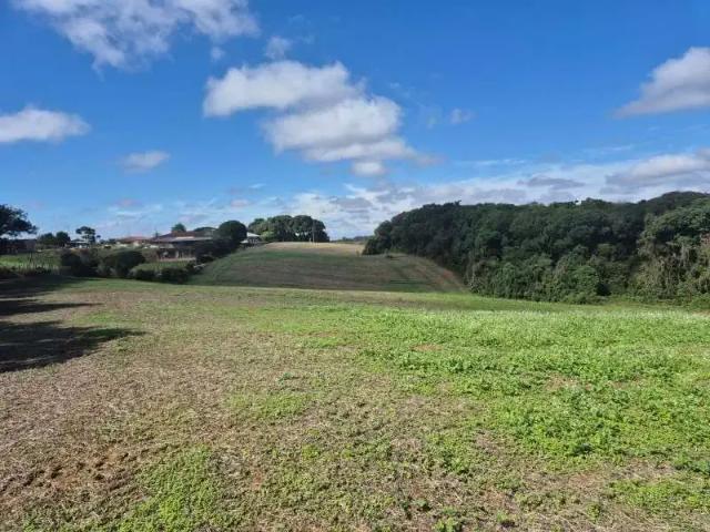 Sítio e chácara venda em Região Geográfica Imediata de Curitiba, Região Metropolitana de Curitiba