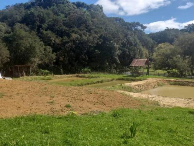 Sítio e chácara venda em Região Geográfica Imediata de Curitiba, Região Metropolitana de Curitiba