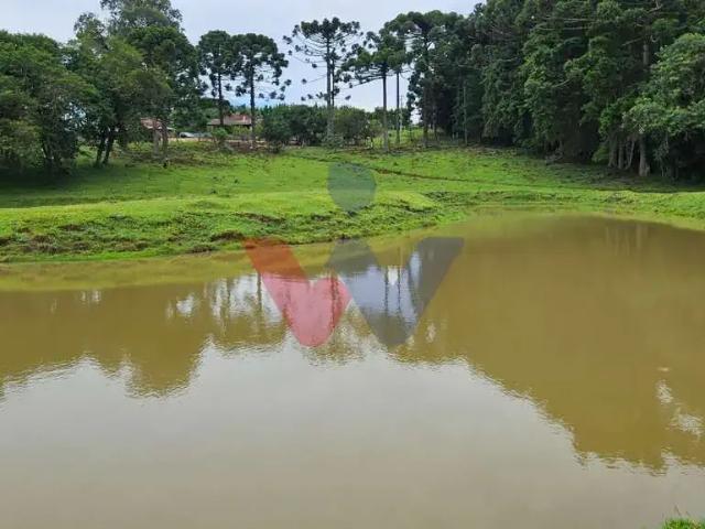 Sítio e chácara venda em Região Geográfica Imediata de Curitiba, Região Metropolitana de Curitiba