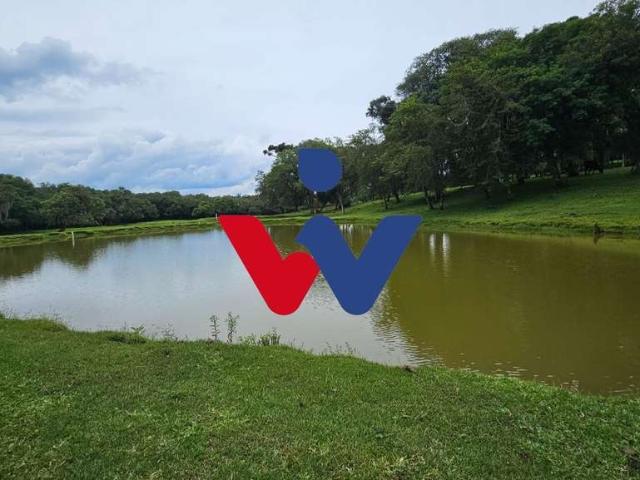 Sítio e chácara venda em Região Geográfica Imediata de Curitiba, Região Metropolitana de Curitiba