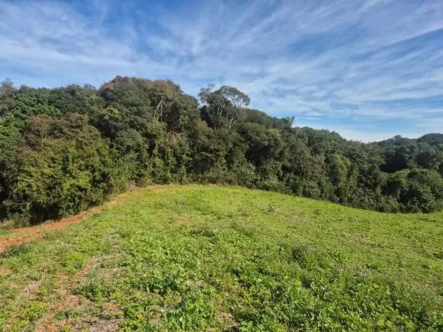 Sítio e chácara venda em Região Geográfica Imediata de Curitiba, Região Metropolitana de Curitiba