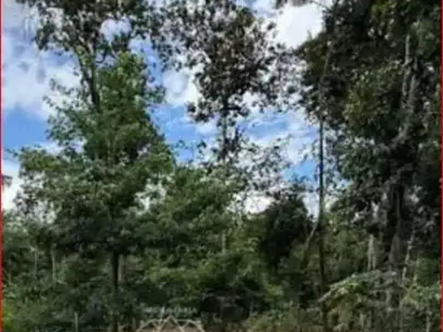 Sítio e chácara venda em Região Geográfica Imediata de Curitiba, Região Metropolitana de Curitiba