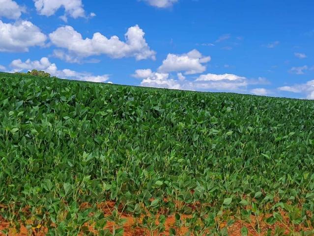 Sítio e chácara venda em Região Geográfica Imediata de Araxá, Araxá