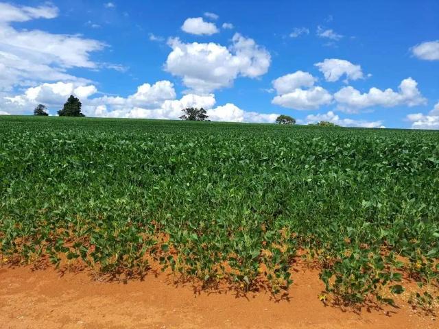 Sítio e chácara venda em Região Geográfica Imediata de Araxá, Araxá