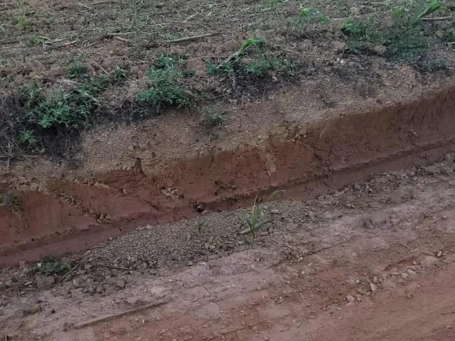 Sítio e chácara venda em Região Geográfica Imediata de Araxá, Araxá