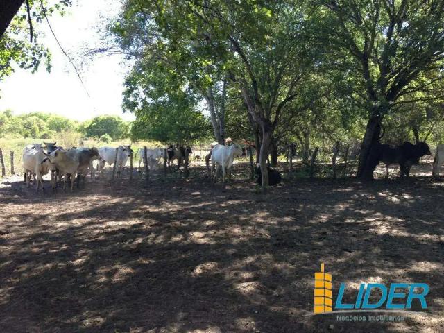 Sítio e chácara venda em Região Geográfica Imediata de Boa Vista, Boa Vista