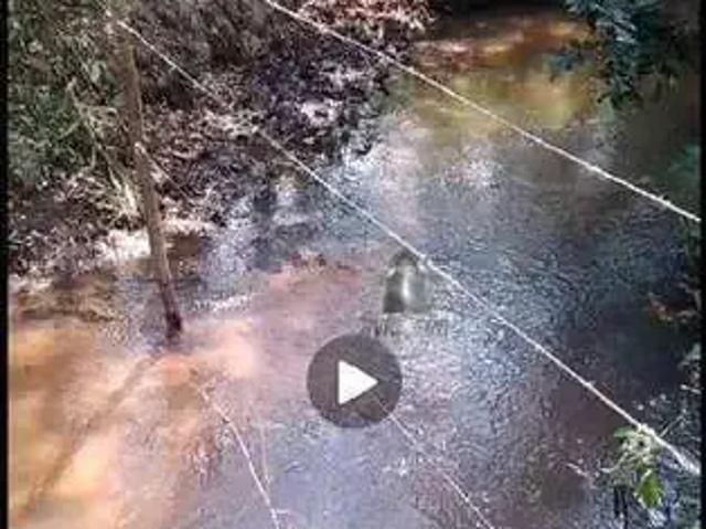 Sítio e chácara venda em Região Imediata de Bauru, Arealva