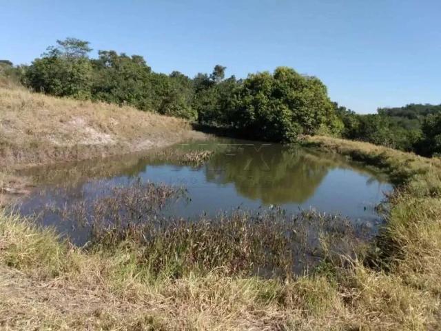Sítio e chácara venda em Região Imediata de Bauru, Arealva