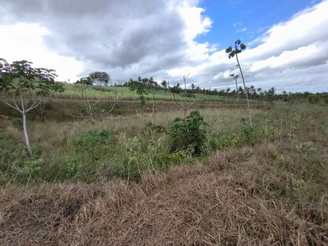 Sítio e chácara venda em Arez, Região Geográfica Intermediária de Natal