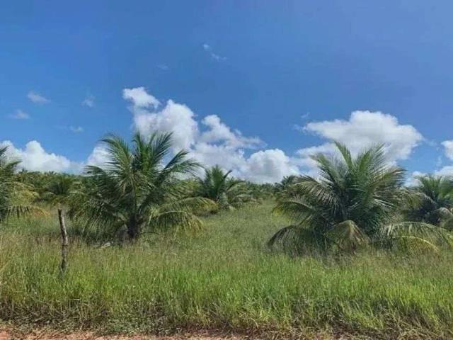 Sítio e chácara venda em Arez