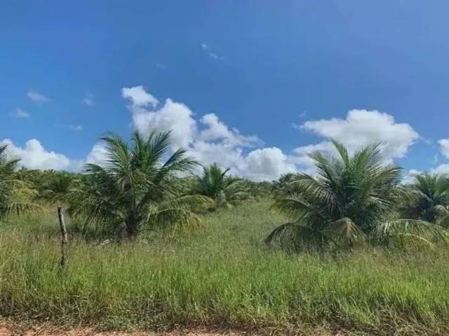 Sítio e chácara venda em Região Geográfica Imediata de Mossoró, Açu