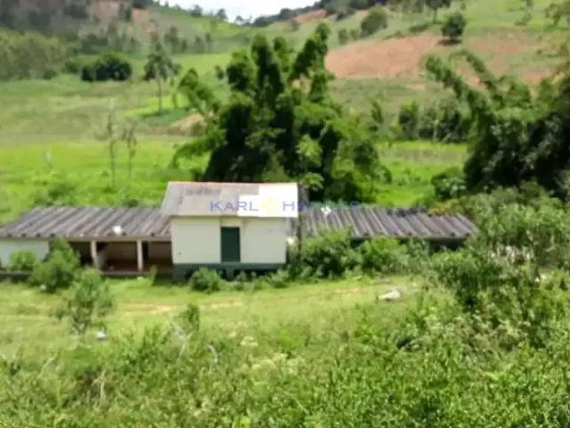 Sítio e chácara venda em Região Geográfica Imediata de Cataguases, Argirita