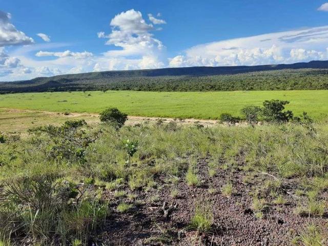 Sítio e chácara venda em Aparecida, Alfenas