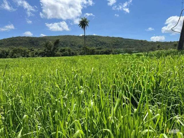 Sítio e chácara venda em Região Geográfica Imediata de Unaí, Arinos