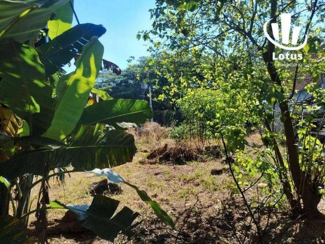 Sítio e chácara venda em Região Imediata de Campinas, Região Metropolitana de Campinas