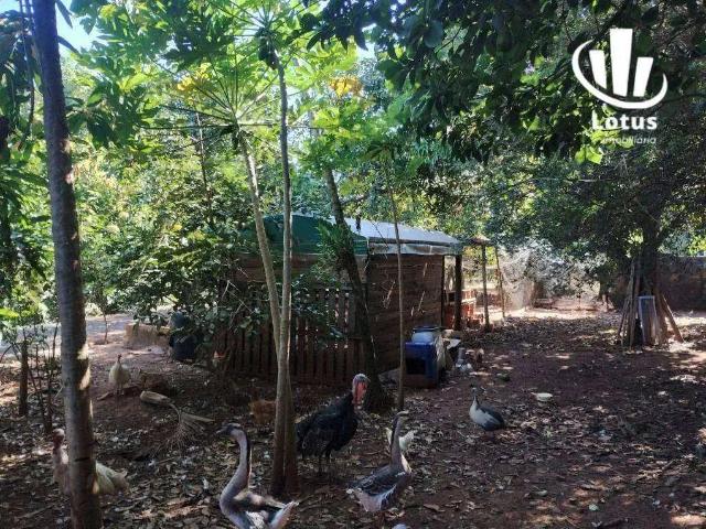 Sítio e chácara venda em Região Imediata de Campinas, Região Metropolitana de Campinas