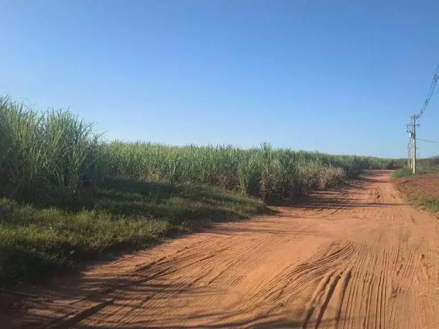 Sítio e chácara venda em Região Imediata de Campinas, Região Metropolitana de Campinas