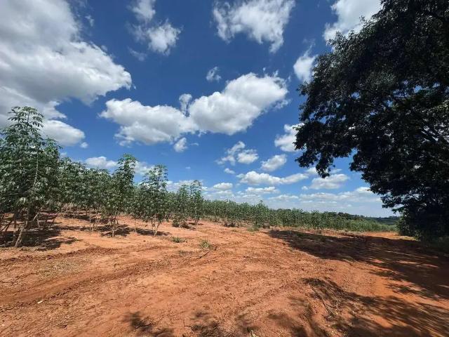Sítio e chácara venda em Região Imediata de Campinas, Região Metropolitana de Campinas