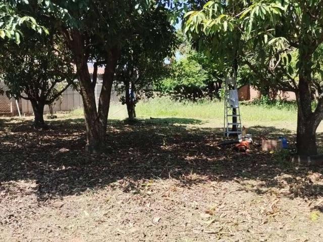 Sítio e chácara venda em Região Imediata de Campinas, Região Metropolitana de Campinas
