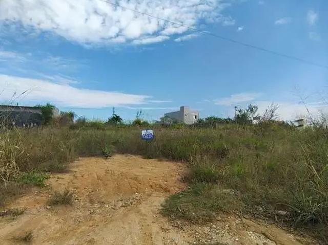 Sítio e chácara venda em Região Imediata de Campinas, Região Metropolitana de Campinas