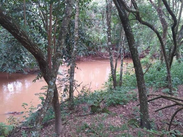 Sítio e chácara venda em Região Imediata de Campinas, Região Metropolitana de Campinas