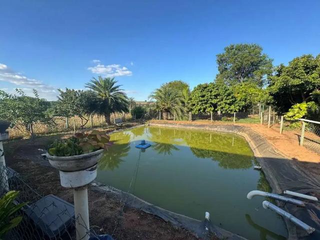 Sítio e chácara venda em Região Imediata de Campinas, Região Metropolitana de Campinas