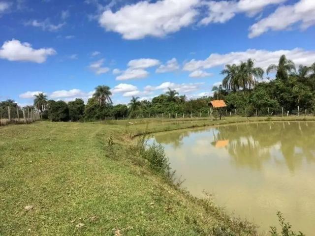Sítio e chácara venda em Região Imediata de Campinas, Região Metropolitana de Campinas