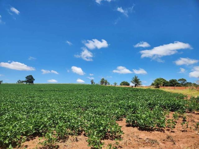 Sítio e chácara venda em Região Imediata de Campinas, Região Metropolitana de Campinas