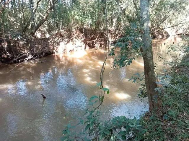 Sítio e chácara venda em Região Imediata de Ribeirão Preto, Região Metropolitana de Ribeirão Preto