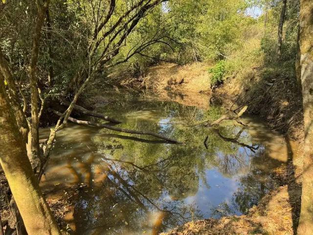 Sítio e chácara venda em Região Imediata de Ribeirão Preto, Região Metropolitana de Ribeirão Preto