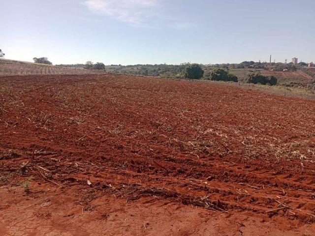 Sítio e chácara venda em Região Imediata de Campinas, Região Metropolitana de Campinas