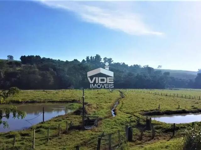 Sítio e chácara venda em Artur Nogueira