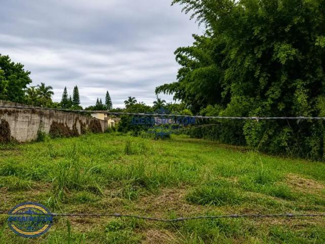 Sítio e chácara venda em Região Imediata de Campinas, Região Metropolitana de Campinas