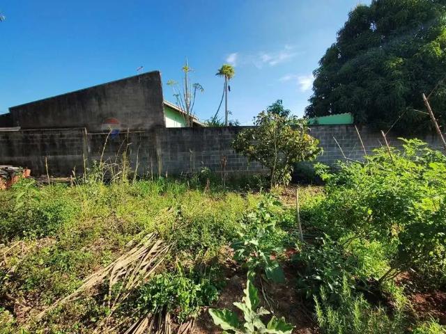 Sítio e chácara venda em Região Imediata de Campinas, Região Metropolitana de Campinas