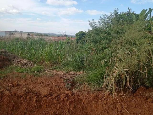 Sítio e chácara venda em Região Imediata de Campinas, Região Metropolitana de Campinas