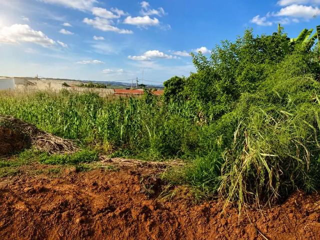 Sítio e chácara venda em Região Imediata de Campinas, Região Metropolitana de Campinas