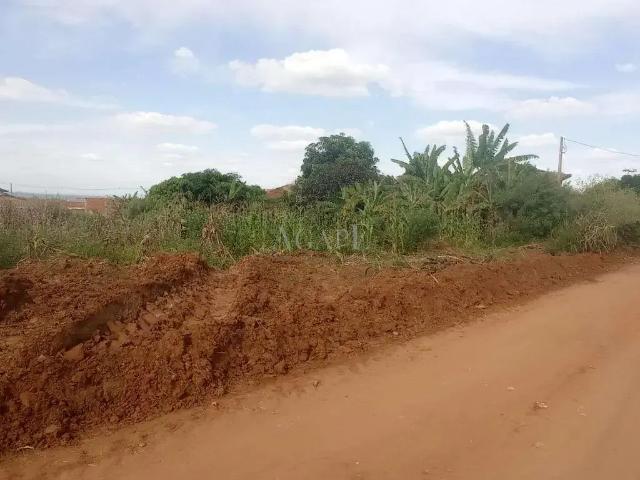 Sítio e chácara venda em Região Imediata de Campinas, Região Metropolitana de Campinas
