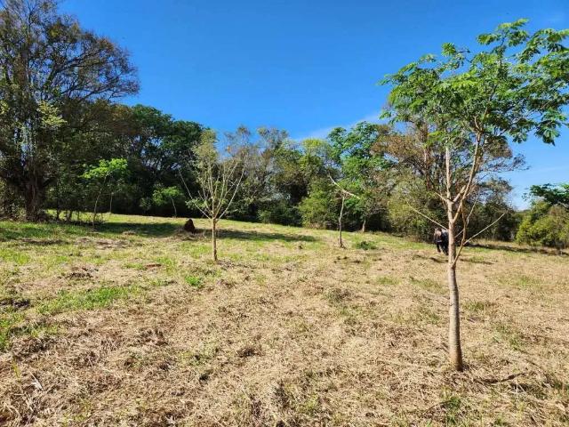 Sítio e chácara venda em Região Imediata de Campinas, Região Metropolitana de Campinas