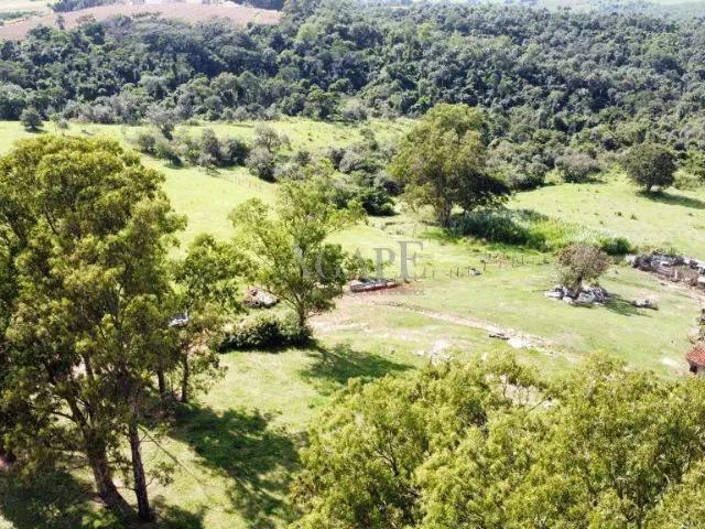 Sítio e chácara venda em Região Imediata de Campinas, Região Metropolitana de Campinas